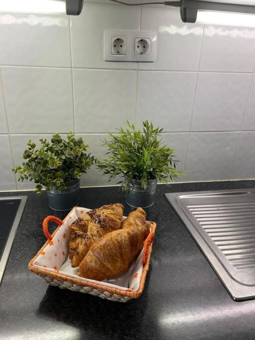 Puskas Apartman 科斯塔德安提瓜 外观 照片